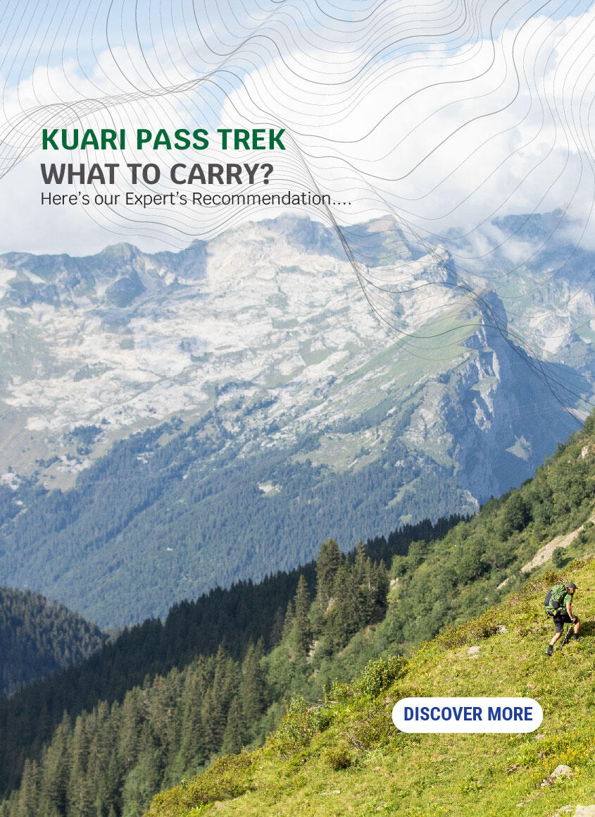 Trek buy online sale